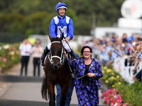 What a Woppitt of a Weekend!