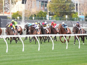 I Digress: A day at The Heath