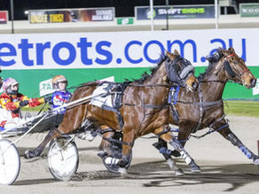 The trots ready for a red hot Renaissance!