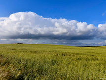 As nossas planícies esquecidas