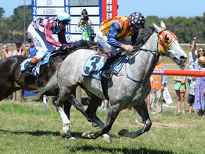 800th winner and going strong at 61 years young