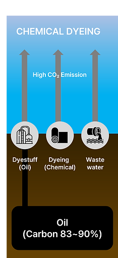 CARBON2.png
