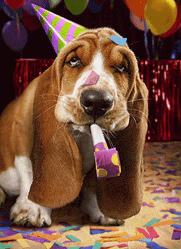 dog.gif