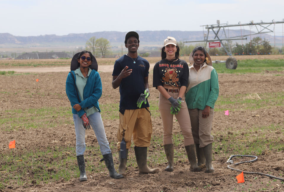 Team members posing in a cover crop field