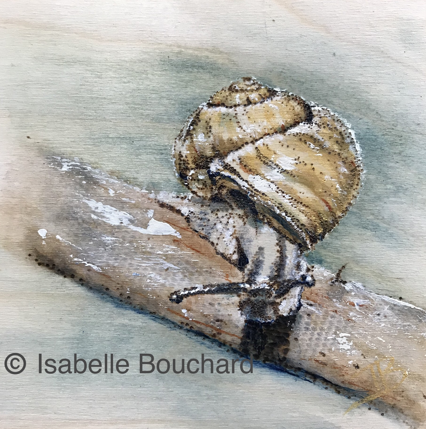 2019_LEscargot©_6x6_Isabelle_Bouchard_ar