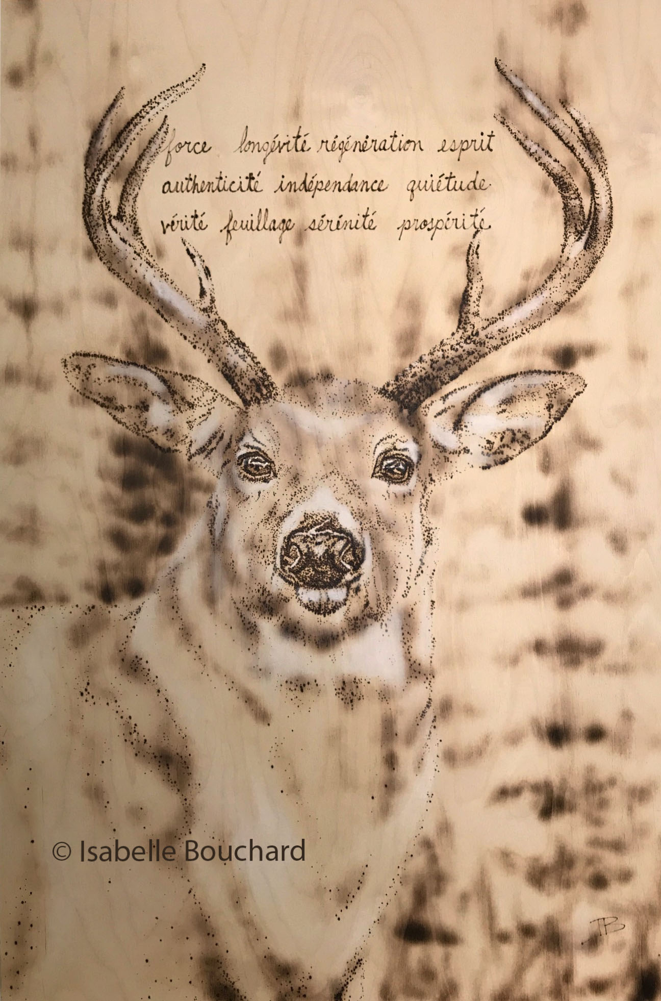 Isabelle_Bouchard_Artiste_Cerf_24x36_2017_Tous_droits_réservés
