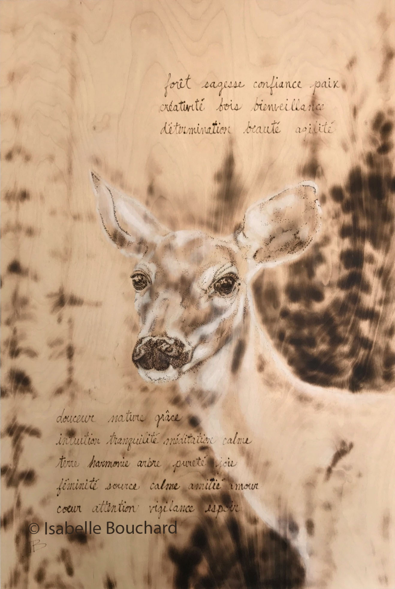 Isabelle Bouchard Artiste Biche 24x36 2017