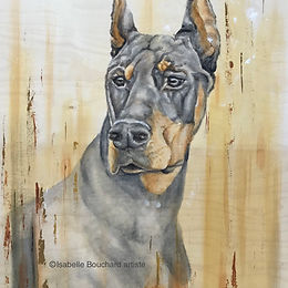 Exposition virtuelle SACQ- avril 2020