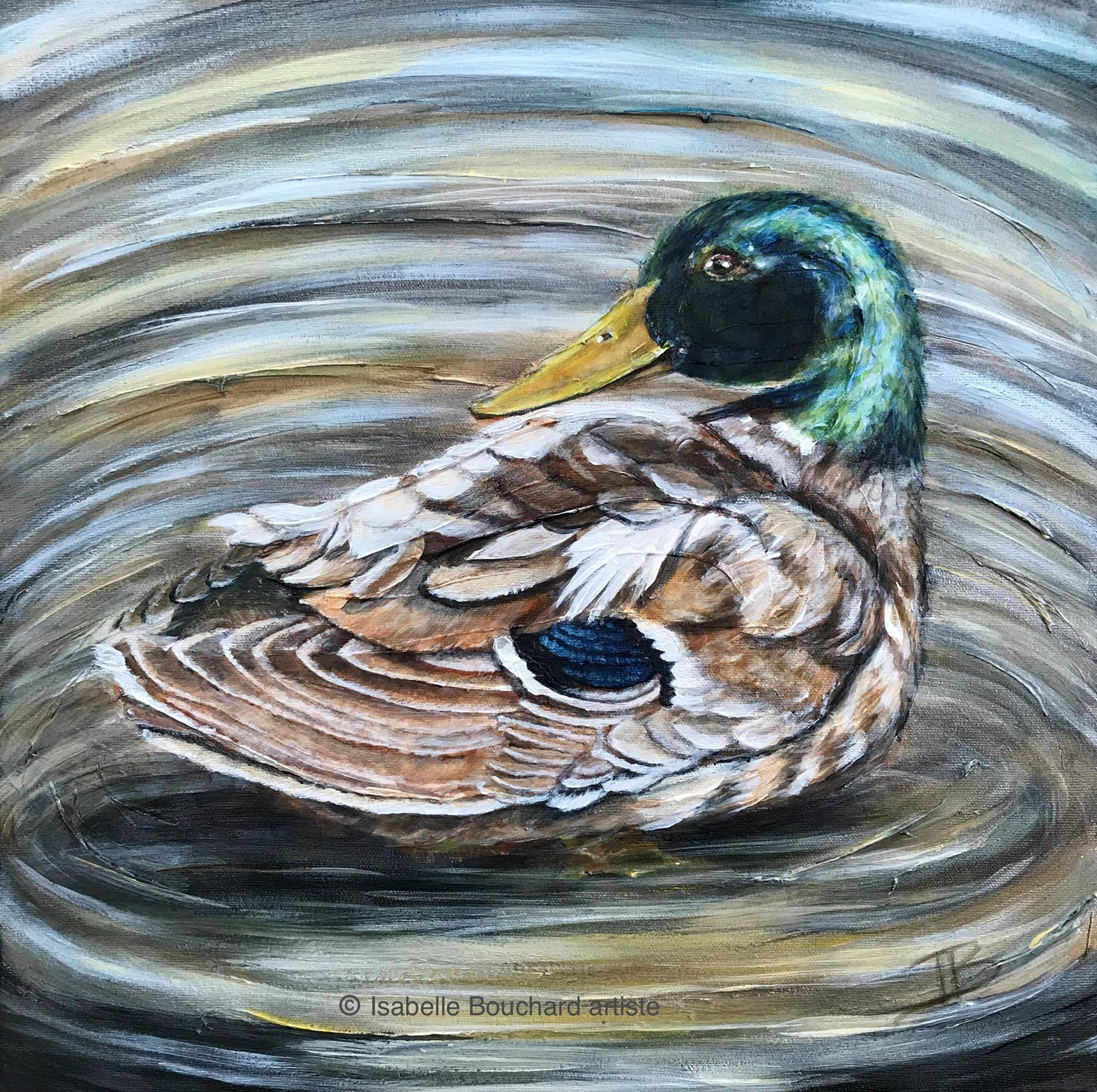 2019 Le canard malard 16x16 Isabelle Bou