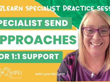 Specialist SEND Approaches for 1:1 Support