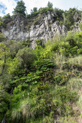 Basaltfelsen über opulenter Vegetation in Zentralchile
