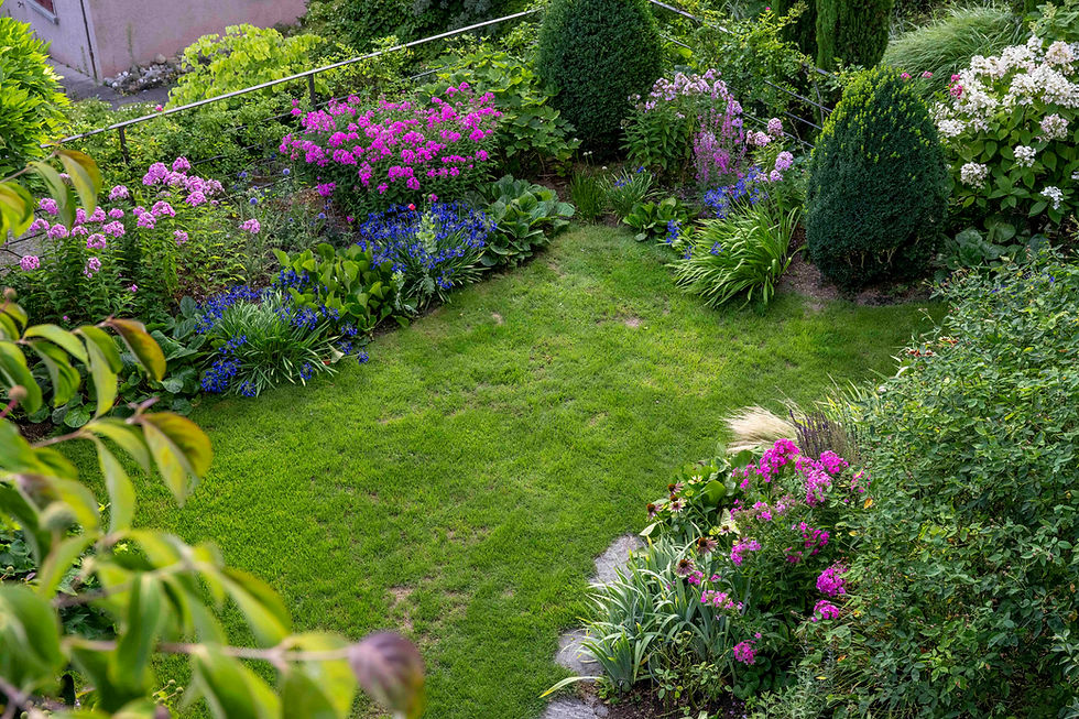 Das "Garagenborder" mit Agapanthen, hier vor allem 'Flower of Love', und diversen Phlox paniculata, oben in der Mitte etwa 'Winnetou'. Der erste Floor der Rosen am Geländer ist vorbei.