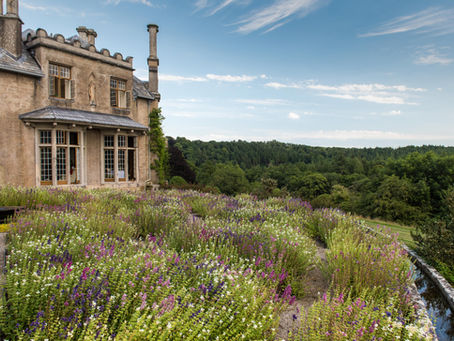 Endsleigh - ein wiederentdeckter Garten in Devon