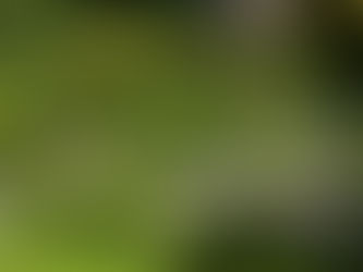 Ein bisschen Südafrika in Hirslanden