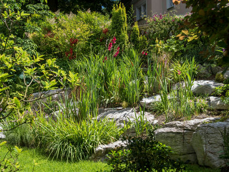 Ein bisschen Südafrika in Hirslanden