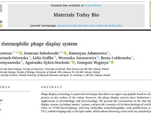 The first thermophilic phage display system
