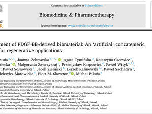 Development of PDGF-BB-derived biomaterial: An ‘artificial’ concatemericprotein for regenerative applications