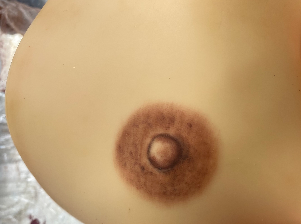 3D Areola Restoration for Sarasota Clients