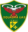 DRONE_LOGO_CSLI.png