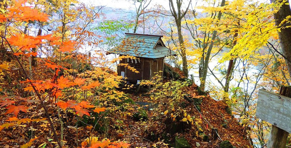 神泉宛に鎮座する「青龍大権現社」全景