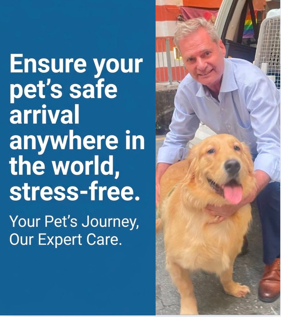 Dr Gerry Pahl IPATA President with Golden Retriever — expert pet travel Hong Kong export and import service