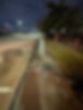 MustangCat Sidewalk.jpeg