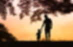 A father and son are standing hand-in-hand under a tree as the sun sets