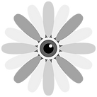 Alireza-Logo_big.png