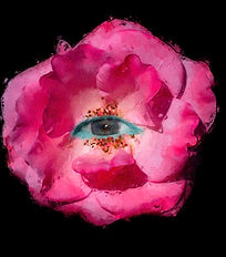 Flower Artwork Intimo