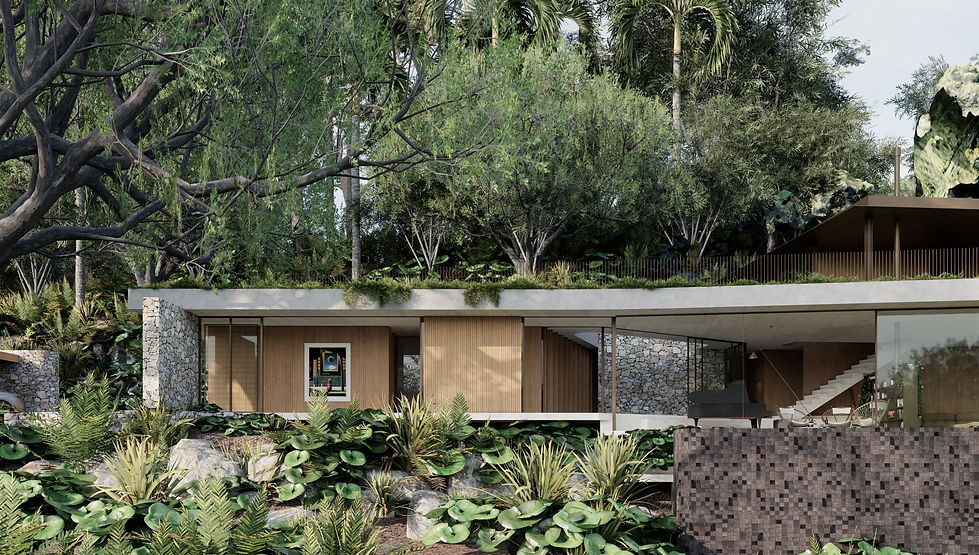 Minimalist luxury home on the Sunshine Coast featuring a lap pool, raw stone wall and sweeping green roof.