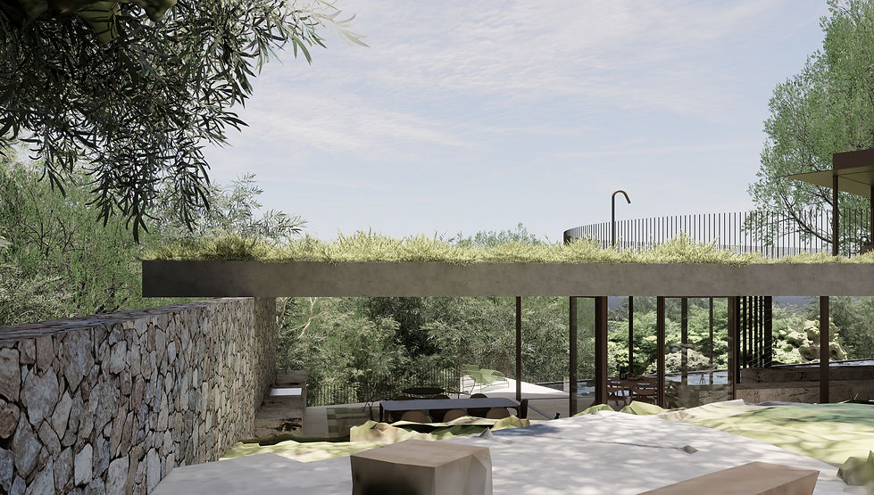 Site-responsive architecture on the Sunshine Coast blending a stone wall and green living roof.
