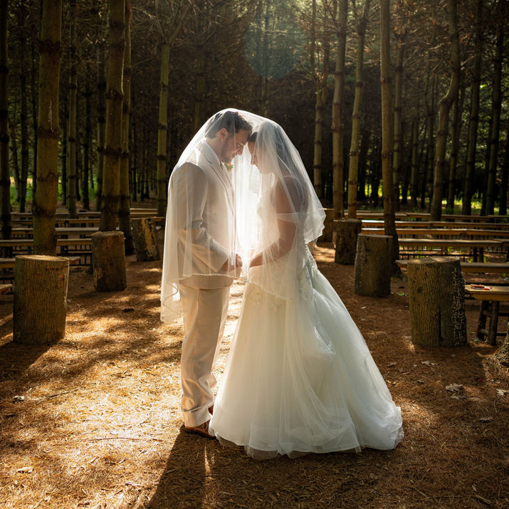 Pittsburgh wedding photographer 