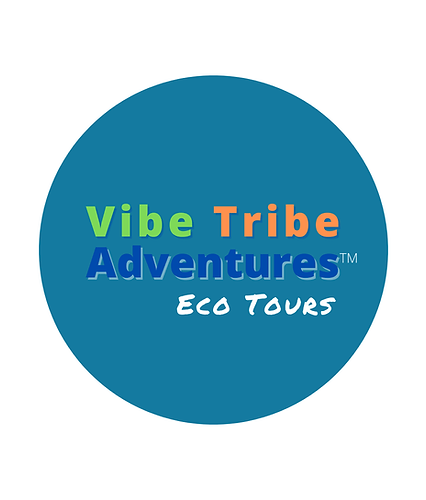 ECO Tours Vibe Tribe Adventures (9).png