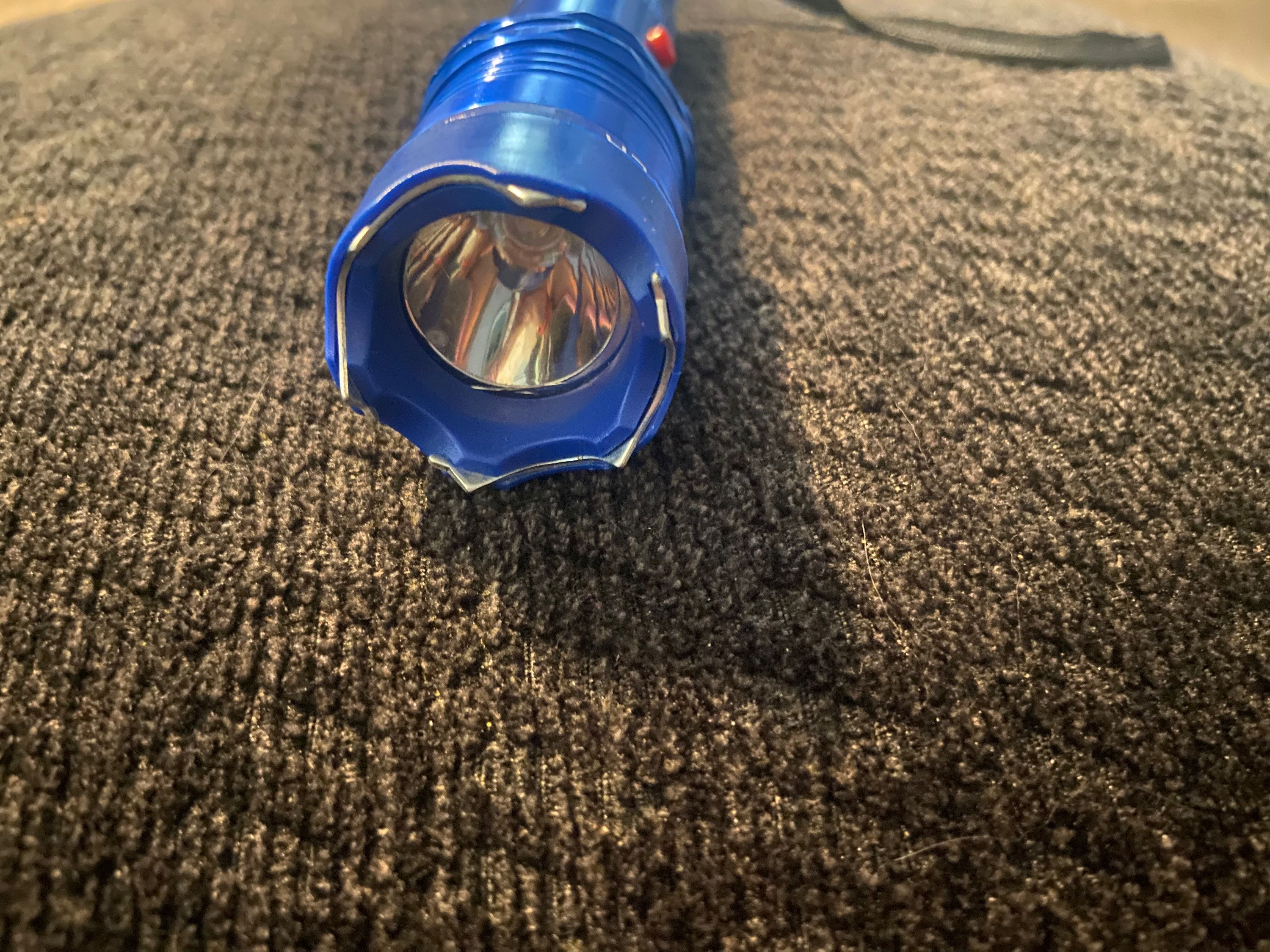 Blue Flashlight Stun Gun
