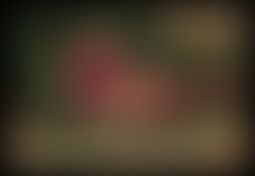 Still Life: Reckoning with Time