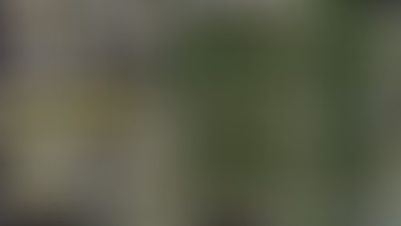 The Significance of the Black Lives Matter Mural