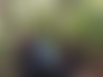 【志塾】第8回 ワークショップ 「奄美の森へ行こう」