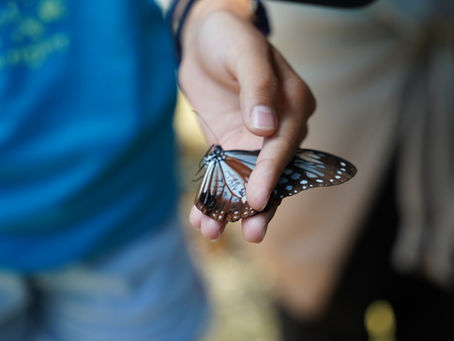 【志塾】森へ行こう!