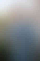 groom buttoning coat