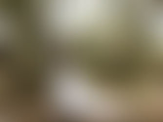 KYLIE & HARVEY'S WEDDING - October 2, 2021