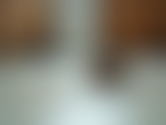 Recognising the Signs of a Mouse Infestation