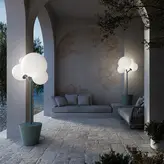 TREE OF LIGHT