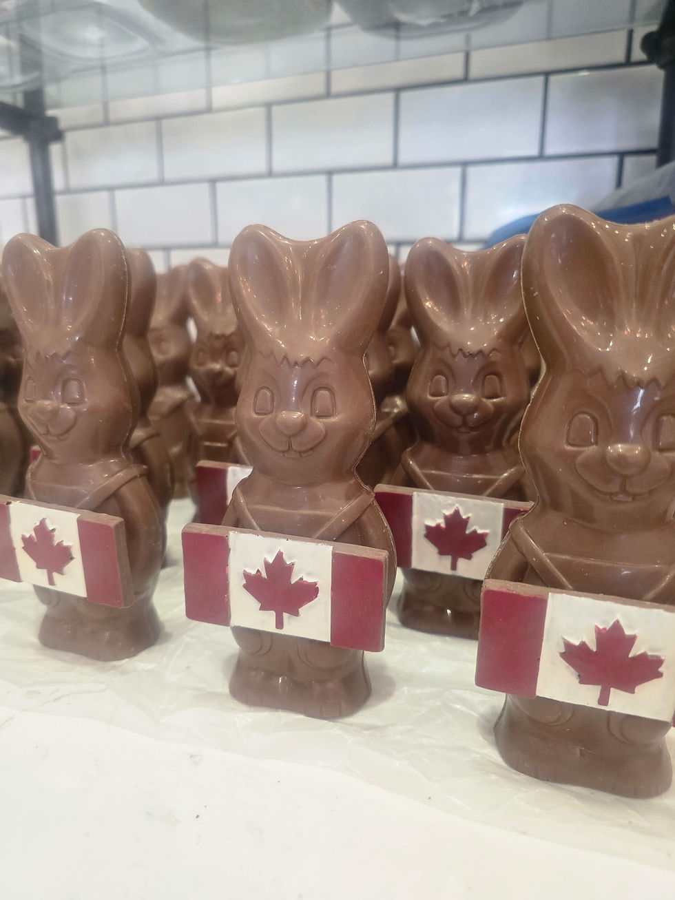 Thumbnail: Canada First Bunny