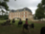 Le château des iris