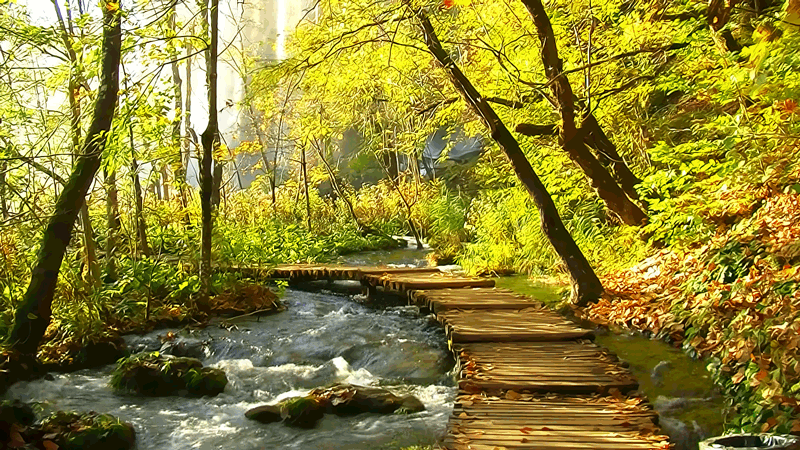 0618gif paisaje.gif
