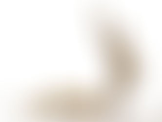 モラハラ対処法「美しき悪人」