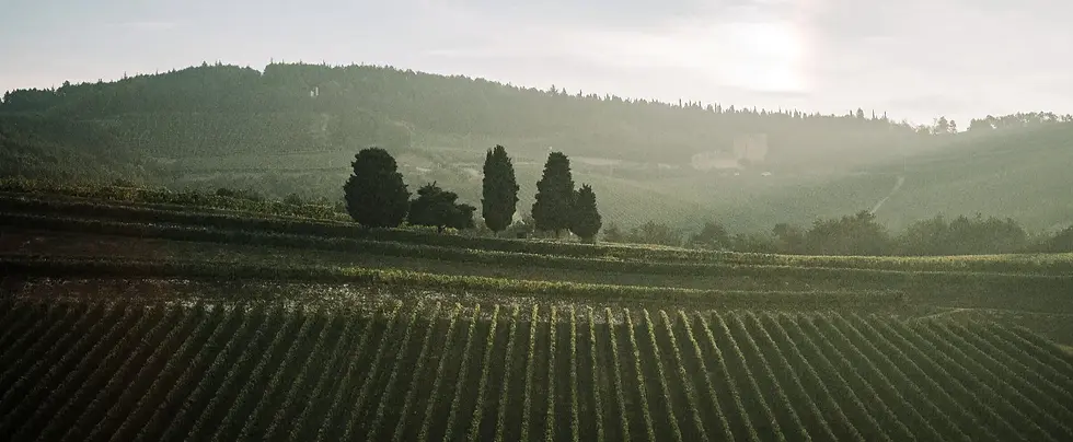 Thumbnail: Tedeschi - Amarone della Valpolicella docg 'Ansari' 2019