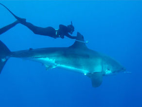 女生學潛水: 生理期間可以潛水嗎?