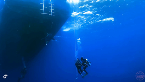 什麼是"開放水域" (Open Water) 潛水員 ?