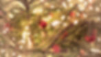 Background.weihnachtskugel.jpg
